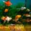 Tabuľka kompatibility populárnych druhov akvarijných rýb