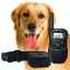 Výhody a nevýhody elektrického obojku pre psa: ako si vybrať obojok