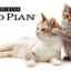 Proplan: zloženie a sortiment purínového krmiva pre mačky