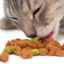 Suché a konzervované krmivo pre mačky
