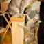 Plemeno mačiek egyptský mau: ako sa starať o domáce zviera