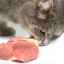 Môže byť mačka kŕmená surovým mäsom?