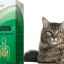 Almagel pre mačky: ako pomôže „ľudská“ droga