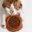Aké je najlepšie jedlo pre dlhosrsté mačky?