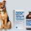 Amoxicilín pre psov: kompletný popis lieku, dávkovanie, kontraindikácie